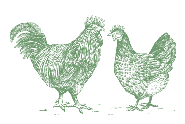Restaurant cuisine française mêlant recettes de grand-mères et créativité